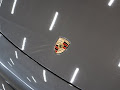 2022 Porsche 911 Carrera Coupe